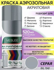 Resim Veslee Aerosol Akrilik Boya Kutusunda 244635533 