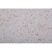 Resim Orjinal Canlı Sıva (166052274) 