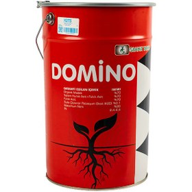 Resim Domino - Köklendirici - 10KG 