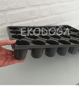 Resim Fide Viyolü 28 Göz 3 Adet Fide Viyol Fide Viyolleri Fide Kabı 