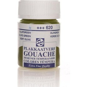 Resim Guaj Boya 620 Olive Green 