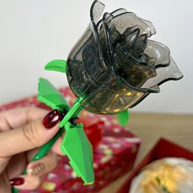Resim Satışta Olan Sevgililer Günü Hediyesi Sonsuz Aşk Gül Çiçeği Yapı Blokları Üç Boyutlu Montaj Yaratıcı Çift Hediyesi 