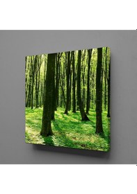 Resim Orman Kanvas Tablo 200x200cm 