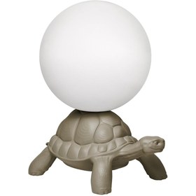 Resim Turtle Carry Gri Yer Aydınlatması 
