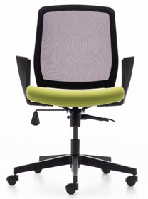 Resim Rapido Rapido C500 Sırtı Fileli Çalışma Koltuğu - Yeşil 