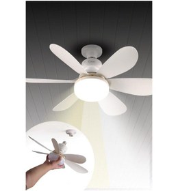 Resim Kiwi Kfan-7681 Duy Tipi Tavan Vantilatörü 