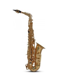 Resim Roy Benson As-202 Alto Saksafon Başlangıç/eğitim - Eb Alto Pi 