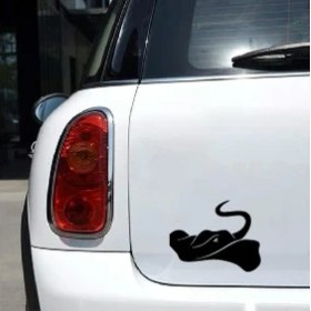 Resim Reysa Tasarım Vatoz Siyah 17X17 cm 