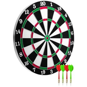 Resim 12inç Dart - Lisinya Standart 