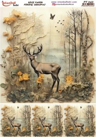 Resim Pirinç Dekopaj Kağıdı 30x42cm Pt-242 