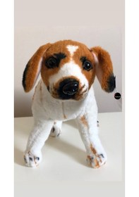 Resim Alman Kurdu Peluş Oyuncak 35 Cm Beyaz 