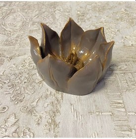 Resim Küçük Lotus Nilüfer Çiçeği 