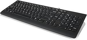 Resim Lenovo 300 USB klavye, kablolu, eğilebilir, ergonomik, Windows 7/8/10, GX30M39655, siyah 