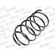 Resim STANDART YAY ST 125043F On Helezon (Takim) 307 00-07 5002FS ST125043F (WR699815) (Fiyat:2 Adet İçindir) 