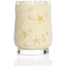 Resim Bosphorus Diş Fırçalık Deniz Yıldızı El Yapımı 400 G 7x7x10 CM Diğer 