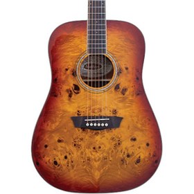 Resim Washburn Deep Forest Burl Amber Fade Akustik Gitar 