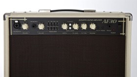Resim Cort AF30 Akustik Gitar ve Saz Amfisi | 30W Enstrüman Amfisi 