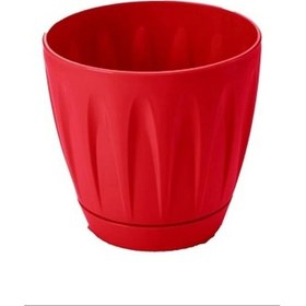 Resim Papatya Saksı 3 Litre Royaleks-p003 1 