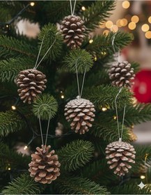 Resim Yılbaşı Ağaç Kozalak 4 Cm 6'lı Vernikli Doğal Karlı Dekoratif Süs Diğer 