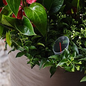 Resim Capri 38 Plastik Akıllı Saksı Bej 
