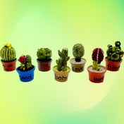 Resim 7 adet Miniature Sukulent ve Kaktüs Peri Bahçesi Seti - Kelimelerle Resin Süsler, Mikro Peyzajlar, Masa Dekoru, Peri Bahçesi Aksesuarları için Mükemmel, Peri Bahçesi Süsleri 