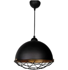 Resim Dylight Retro Metal Kafesli Siyah Dekoratif Sarkıt Avi Çap:30 Cm 