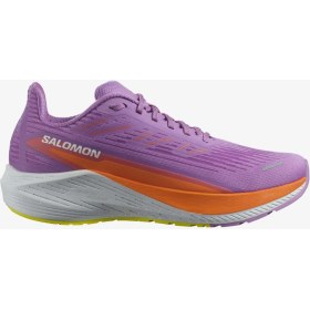 Resim Salomon AERO BLAZE 2 Kadın Koşu Ayakkabısı Iris Orchid L47426300 
