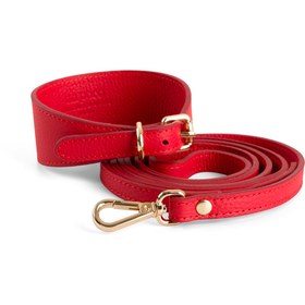 Resim Poco Black Leather Dog Leash - Kırmızı / Gümüş 
