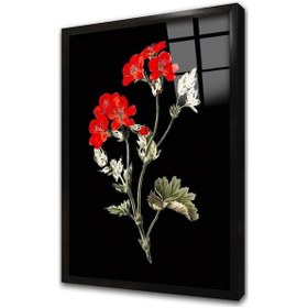 Resim Siyah Zeminde Kırmızı Çiçek Çerçeveli Cam Tablo-172050 