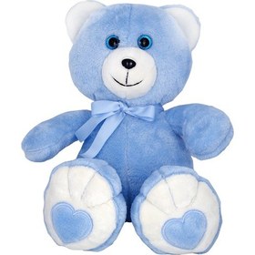 Resim Peluş Sevgi Ayıcık Mavi - Anatoya Peluş Oyuncak 