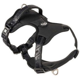 Resim Max Molly Matrix 2.0 Akıllı Künyeli Sport Köpek Göğüs Tasması - Siyah (XLarge) 