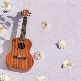 Resim Kozmos KUK-110T Concert Ukulele 