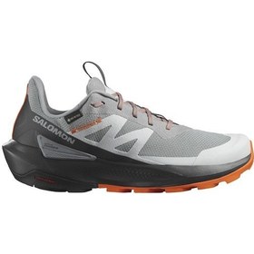 Resim Salomon Elixir Activ Gtx Erkek Outdoor Ayakkabı-gri Gri 