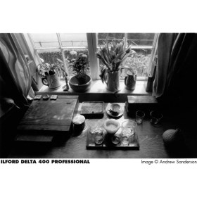 Resim Ilford Delta 400 36 Pozluk Siyah Beyaz Negatif Film (Skt: 11-2022) 