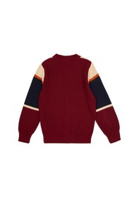Resim U.S. Polo Assn. U.s. Polo Assn. Erkek Çocuk Bordo Hırka Triko 50317116-vr014 