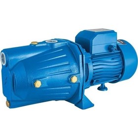 Resim Impo Jet 200 2Hp Jet Pompa 220V 