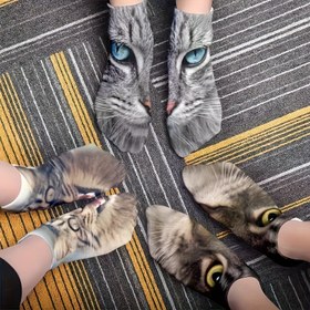 Resim Erkekler ve Kadınlar için Sevimli ve Eğlenceli Kedi Başlıklı Çoraplar, Yaratıcı Pers Kedi Stili Kedi Gözü Tasarımı, Hayvan Temalı Çift Çorapları, Rahat ve Nefes Alabilir, Sonbahar/Kış Mevsimi İçin Mükemmel, Ev Kullanımı, Parti, Çiftler İçin Hediye, Kedi Çorapları, Bayanlar Kapibara Çorapları, Pers Kedi Çorapları, Komik Çorap, Çorap Yeniliği, Erkek Çorapları, Erkek Çorapları İyi Kalite 