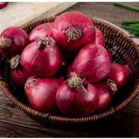 Resim Doğal Yüksek Aromalı Ata 19 Kırmızı Çorum Tipi Soğan Tohumu 50 Tohum 