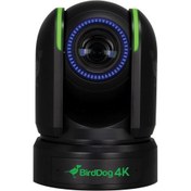 Resim BirdDog P4K 4K Full NDI PTZ Camera (Black) 