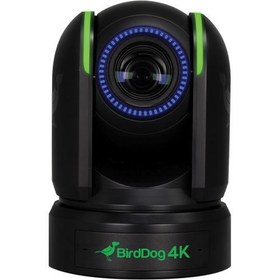 Resim BirdDog P4K 4K Full NDI PTZ Camera (Black) 