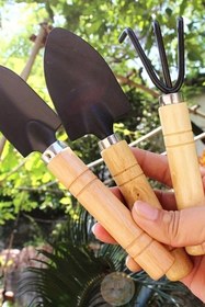 Resim Ahşap Saplı Metal Uçlu 3 Parça Mini Tırmık ve Kürek Çiçek Bitki Fidan Dikim Çapalama Hobi Bakım Seti 