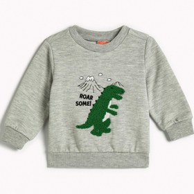 Resim Erkek Bebek Sweatshirt Dinozor Peluş Aplike Detaylı Şardonlu Bisiklet Yaka 