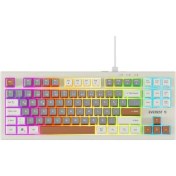 Resim Everest Kb-98 Sılent Tkl Gri Mavi-Gri-Kahve Rainbow Q Membrane Klavye 