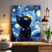 Resim Yetişkinler İçin DIY Sayılarla Boyama - Yıldızlı Gece Gökyüzü Kedi Tuval Sanat Seti, 40.64x50.8 cm Fırçalar ve Boyalarla Akrilik Boyama Seti, Çerçevesiz Duvar Dekoru El Sanatları, Doğum Günleri, Babalar Günü, Noel, Anneler Günü İçin İdeal Hediye 