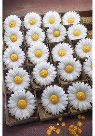 Resim Papatya Çiçek Mum Sabun & Kokulutaş Silikon Kalıp 