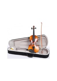 Resim Rosa Rv044m Başlangıç Serisi Keman Seti 4/4 Mat Öğrenci Kemani Kutu Ve Yay Dahil 