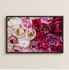 Resim Pembe Ve Kırmızı Gül Karışımı Çiçek Duvarı Pleksi Tablo 
