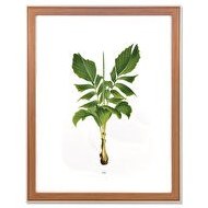 Resim Retrato Fotoğraf Çerçevesi Krem 40x50 Cm 