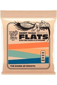 Resim Hype Store Short Scale Flat 2 elektrikli bas teli kalınlık 45-105 