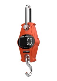 Resim Tem Sf 300 Kg X 50 Gr Çengel Baskül N11.11 